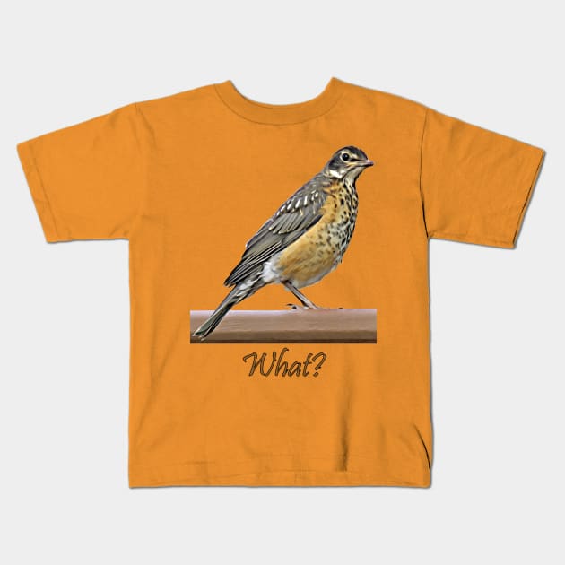 What? Robin Kids T-Shirt by MaryLinH